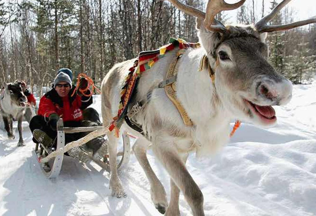 lapland_safaris_winter_activities_1200